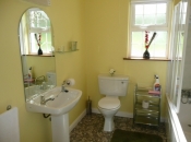 Mountain Lodge - Bathroom